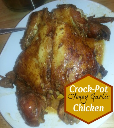 Crock-Pot Honey Garlic Chicken