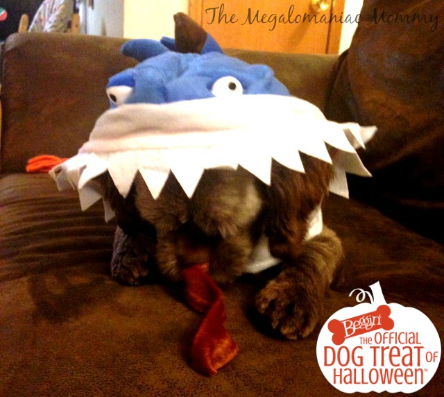 Bubba Shark Beggin' Strips, #PurinaHalloweenWM #sponsored #spon #ad