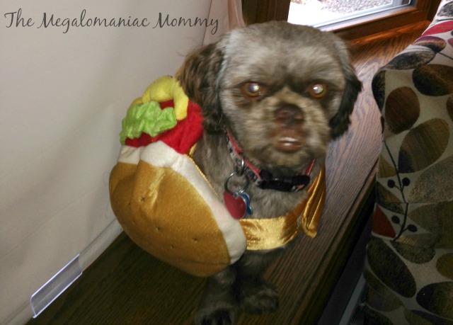 Bubba the Hotdog #PurinaHalloween #sponsored #spon #ad