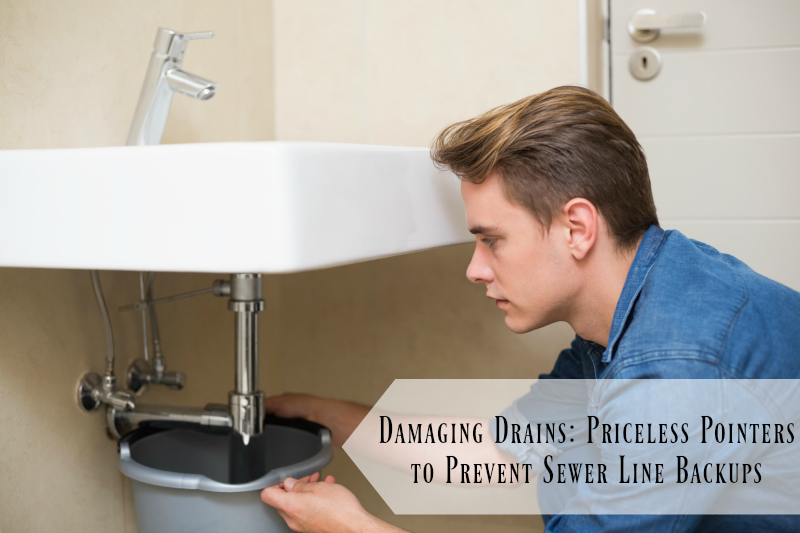damaging-drains-priceless-pointers-to-prevent-sewer-line-backups